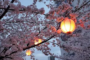 Niodori Park image