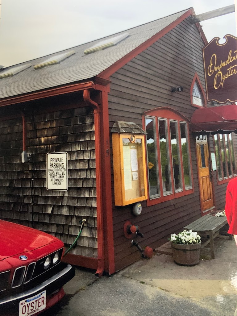 Impudent Oyster 02633