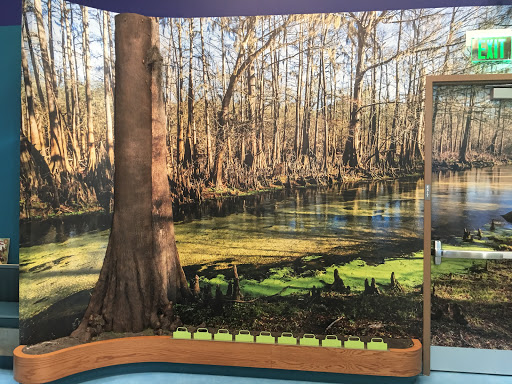 Natural History Museum «Florida Museum of Natural History», reviews and photos, 3215 Hull Rd, Gainesville, FL 32611, USA