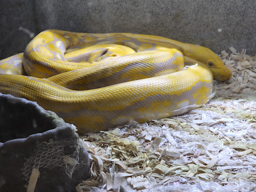 Pet Store «Fin & Feather Pet Center, Inc.», reviews and photos, 5208 Lakeside Ave, Richmond, VA 23228, USA