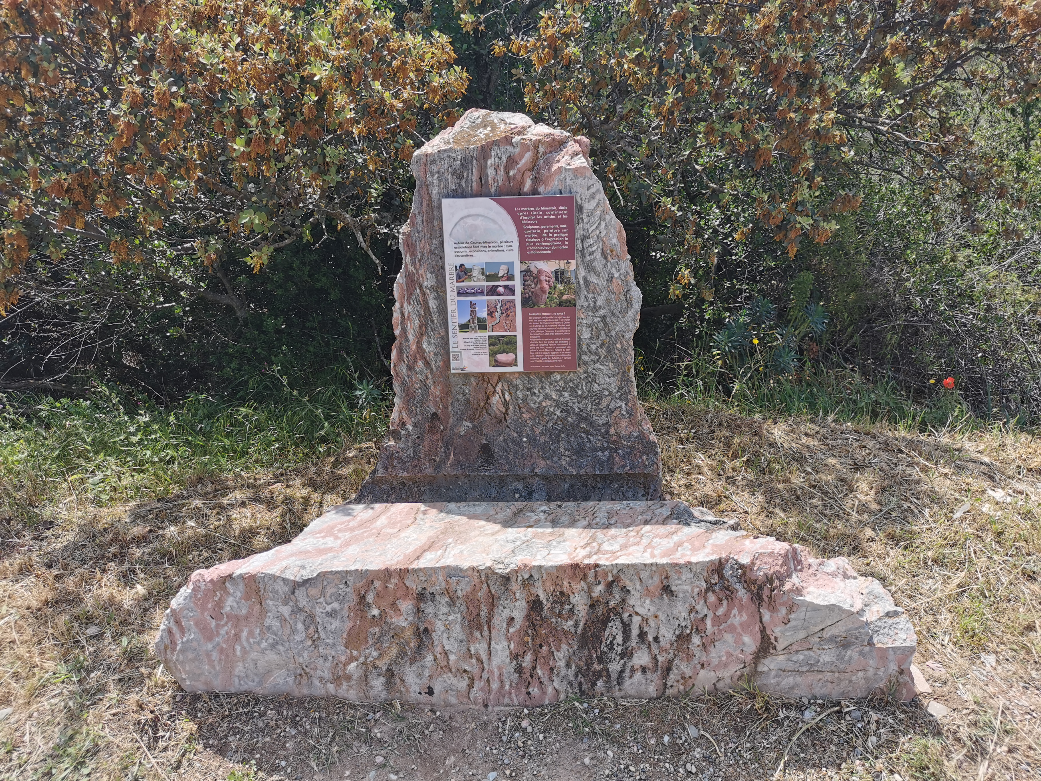 Photo n° 2 de l'avis de ronald.e fait le 17/05/2021 à 17:06