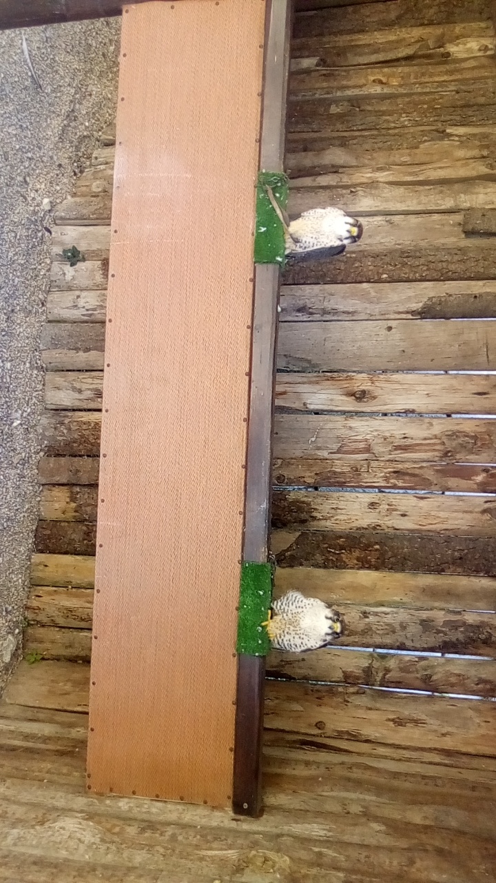 Photo n° 7 de l'avis de Emilie.e fait le 07/07/2019 à 10:34