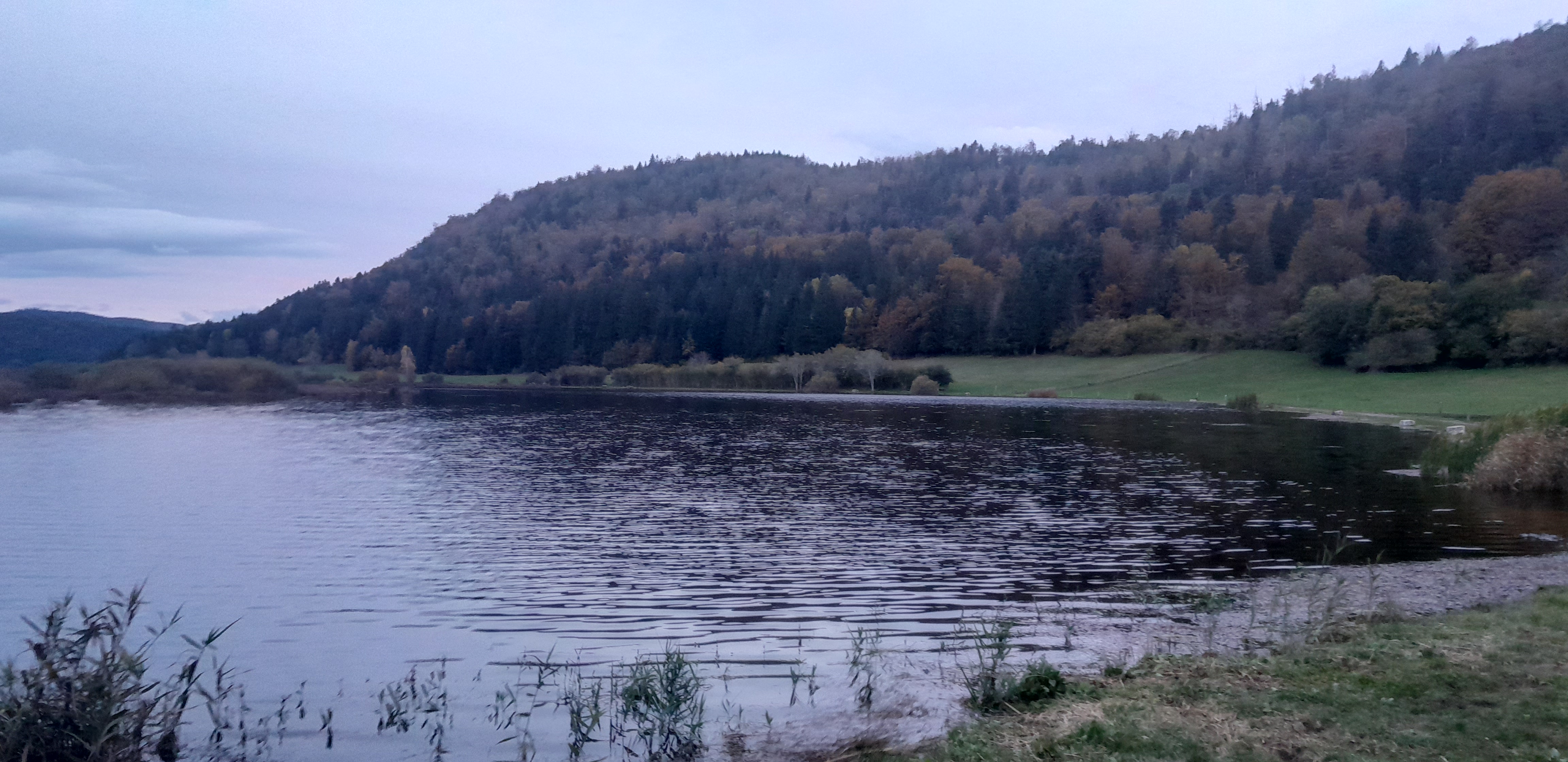 Photo n° 1 de l'avis de Alexandre.o fait le 29/10/2023 à 17:50