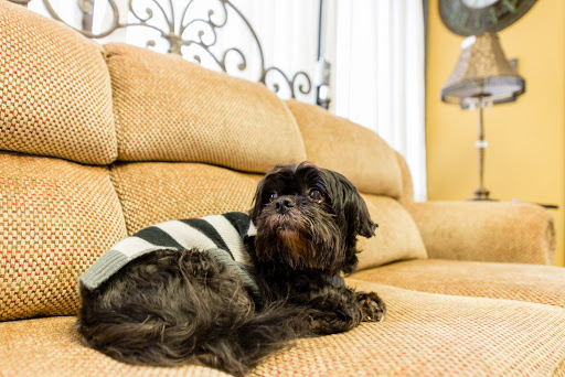 Consignment Shop «Second Home Furniture», reviews and photos, 2887 W Pioneer Pkwy, Pantego, TX 76013, USA