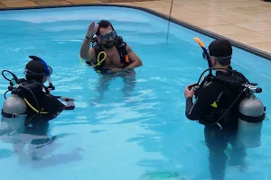 Maniac Divers - Escola de Mergulho image