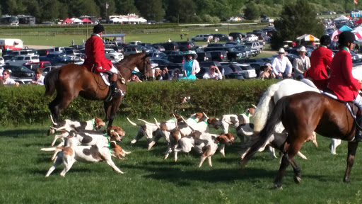 Park «Percy Warner Park», reviews and photos, 7311 Tennessee 100, Nashville, TN 37221, USA