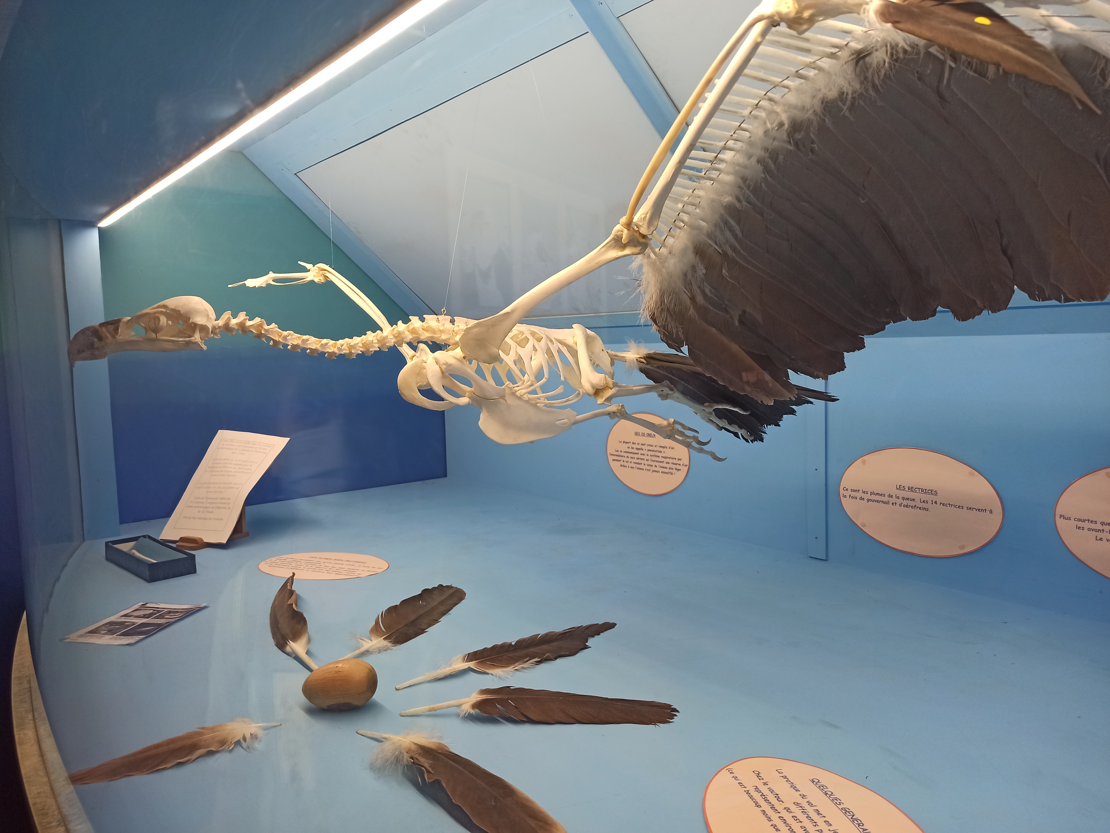 Photo n° 1 de l'avis de Aude. fait le 23/07/2020 à 12:29