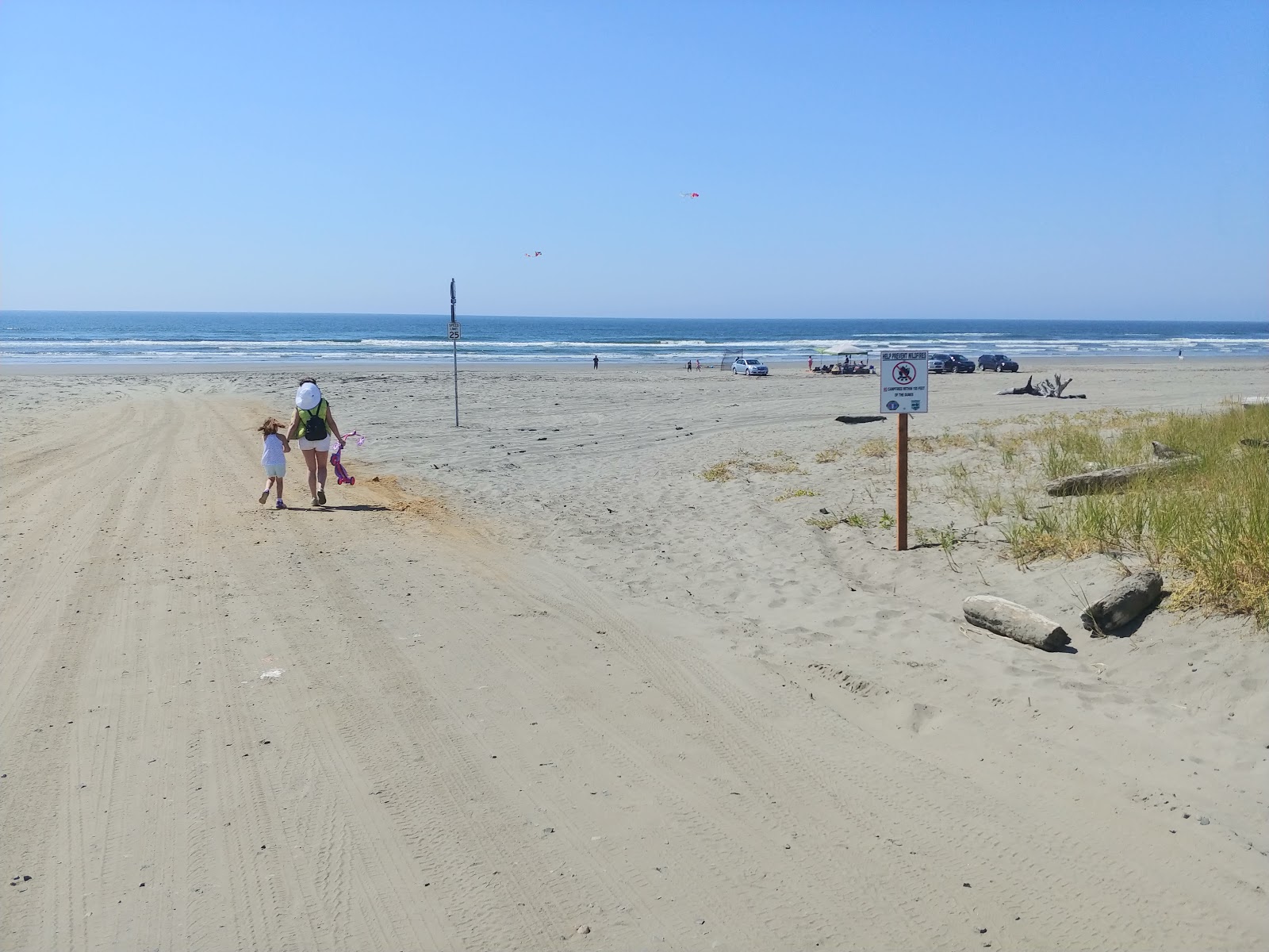 Zdjęcie Grayland Beach z poziomem czystości wysoki