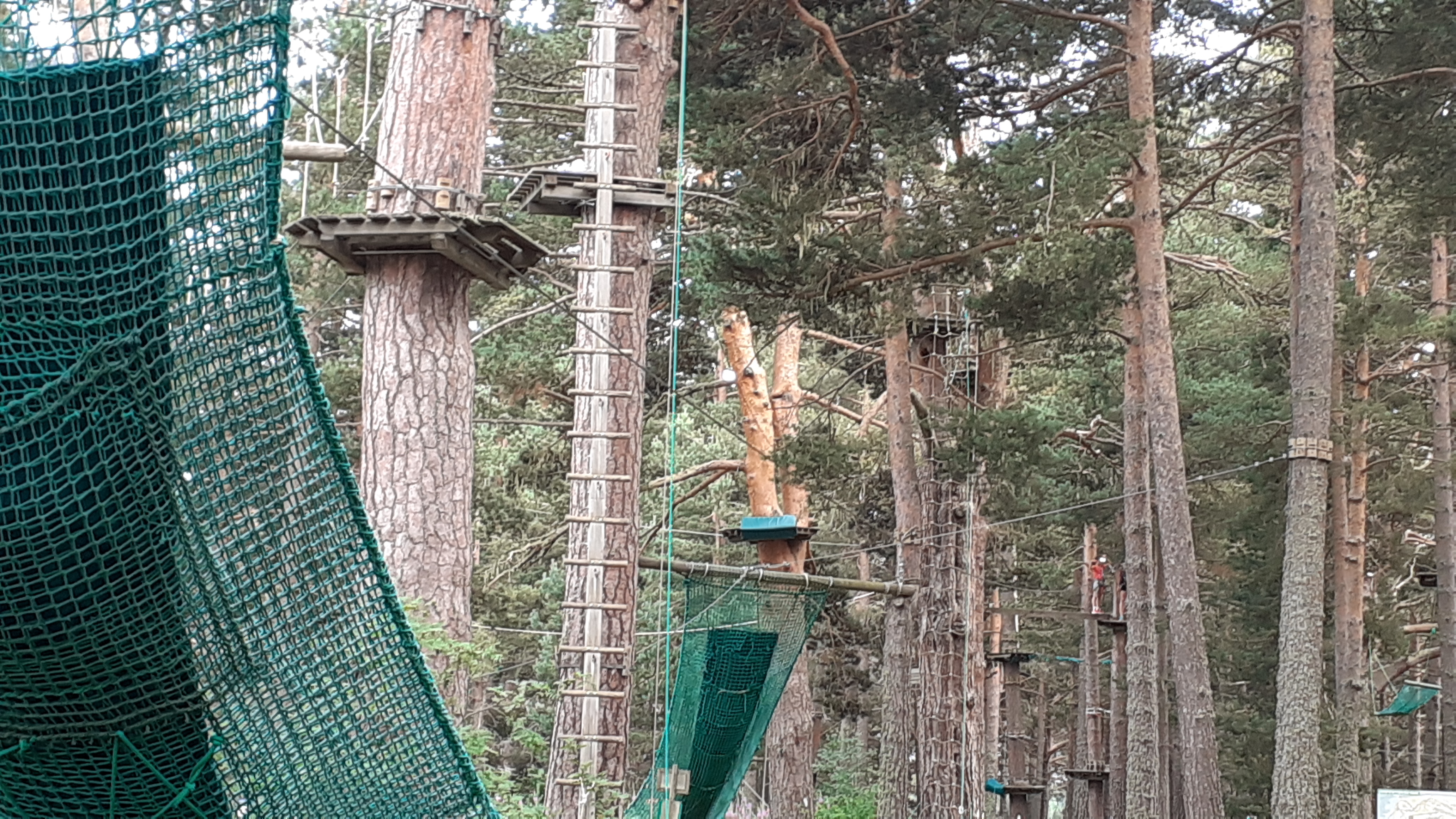 Photo n° 1 de l'avis de Aurélie.o fait le 25/07/2019 à 09:25