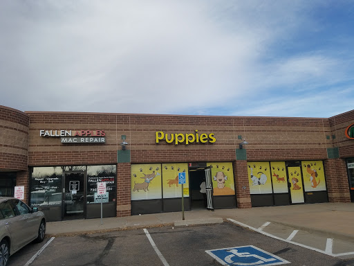 Pet Supply Store «Puppies N Stuff», reviews and photos, 12020 Melody Dr, Westminster, CO 80234, USA
