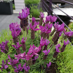 Photo n°14 de l'avis de Gabriele. fait le 17/09/2018 à 10:06 sur le  UVE - Rooms & Wine Bar à La Morra