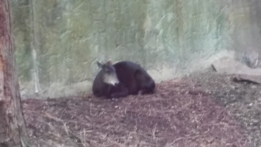 Zoo «Wild Kingdom Pavilion», reviews and photos, 3701 S 10th St, Omaha, NE 68108, USA