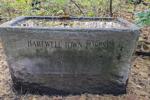 Hartwell Town Forest image
