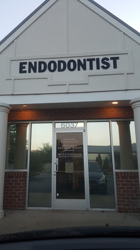 Dominion Endodontics