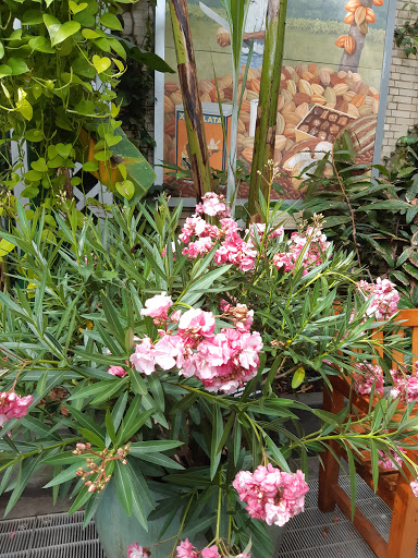 Library «National Gallery of Art Library», reviews and photos, 4th St NW, Washington, DC 20565, USA