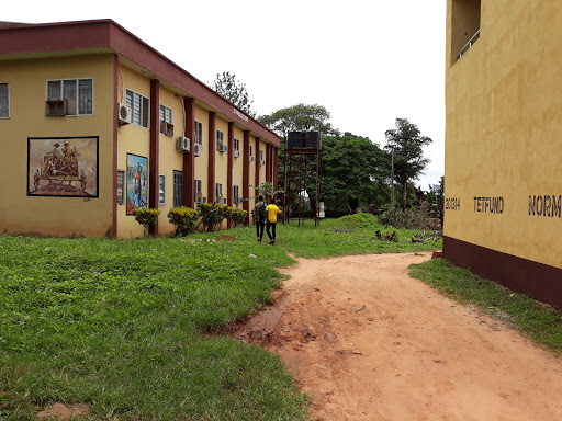Auchi Polytechnic(1), Auchi, Nigeria, Doctor, state Edo