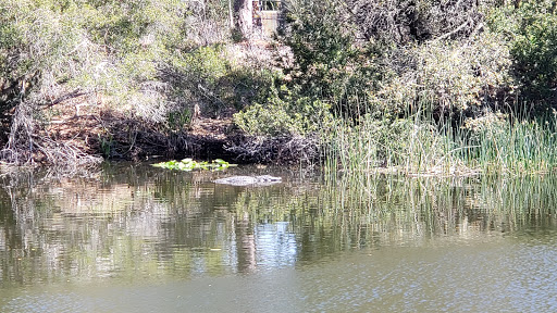 Park «Boca Ciega Millennium Park», reviews and photos, 12410 74th Ave N, Seminole, FL 33772, USA