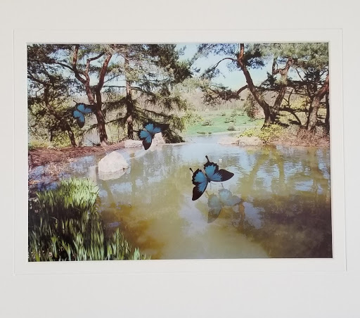 Museum «Bloomingdale Park District Museum», reviews and photos, 108 S Bloomingdale Rd, Bloomingdale, IL 60108, USA