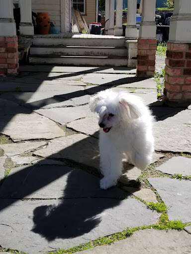 Pet Supply Store «PetSmart», reviews and photos, 5 Hampton House Rd, Newton, NJ 07860, USA