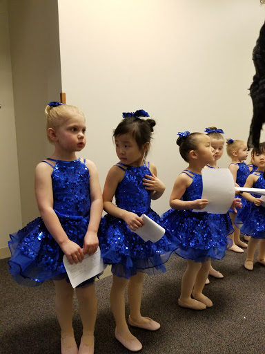 Performing Arts Theater «Buffalo Grove Park District Community Arts Center», reviews and photos, 225 McHenry Rd, Buffalo Grove, IL 60089, USA