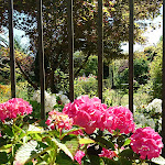 Photo n° 24 de l'avis de Pascale.o fait le 06/08/2020 à 16:18 pour Jardin Floral du Château de Digeon à Morvillers-Saint-Saturnin