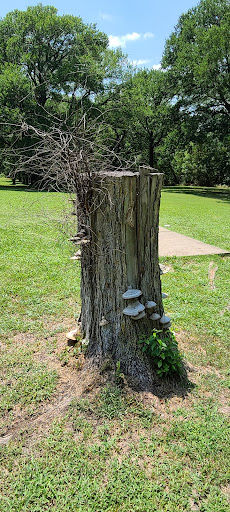 Disc Golf Course «Lester Lorch Park - Beaver Disc Golf Course», reviews and photos, 1823 Texas Plume Rd, Cedar Hill, TX 75104, USA