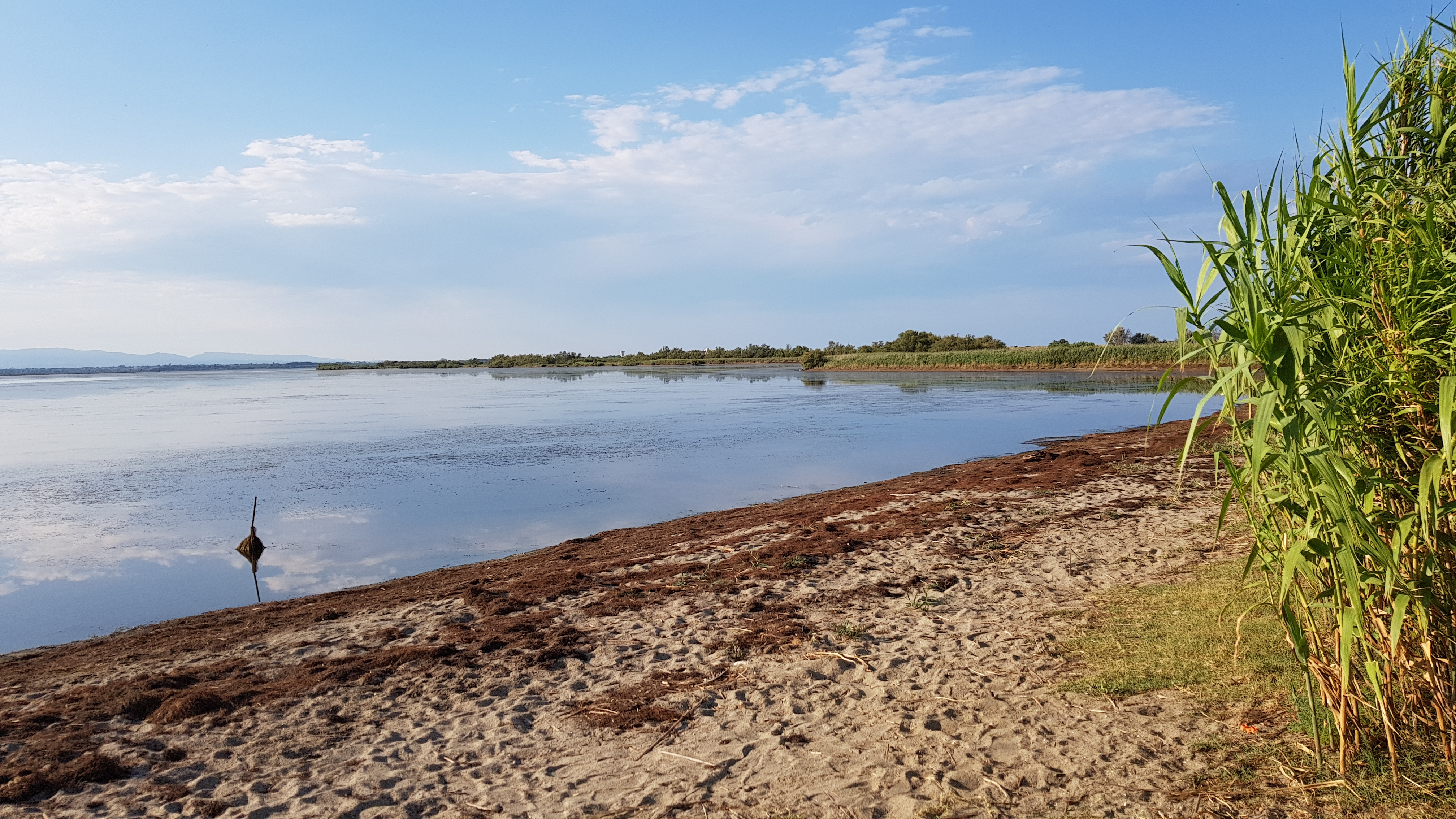 Photo n° 3 de l'avis de MJ.c fait le 18/08/2018 à 20:40