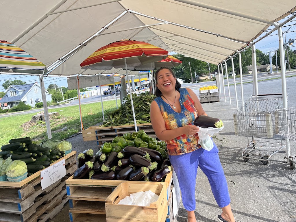 Aviva Wellness, LLC 07724