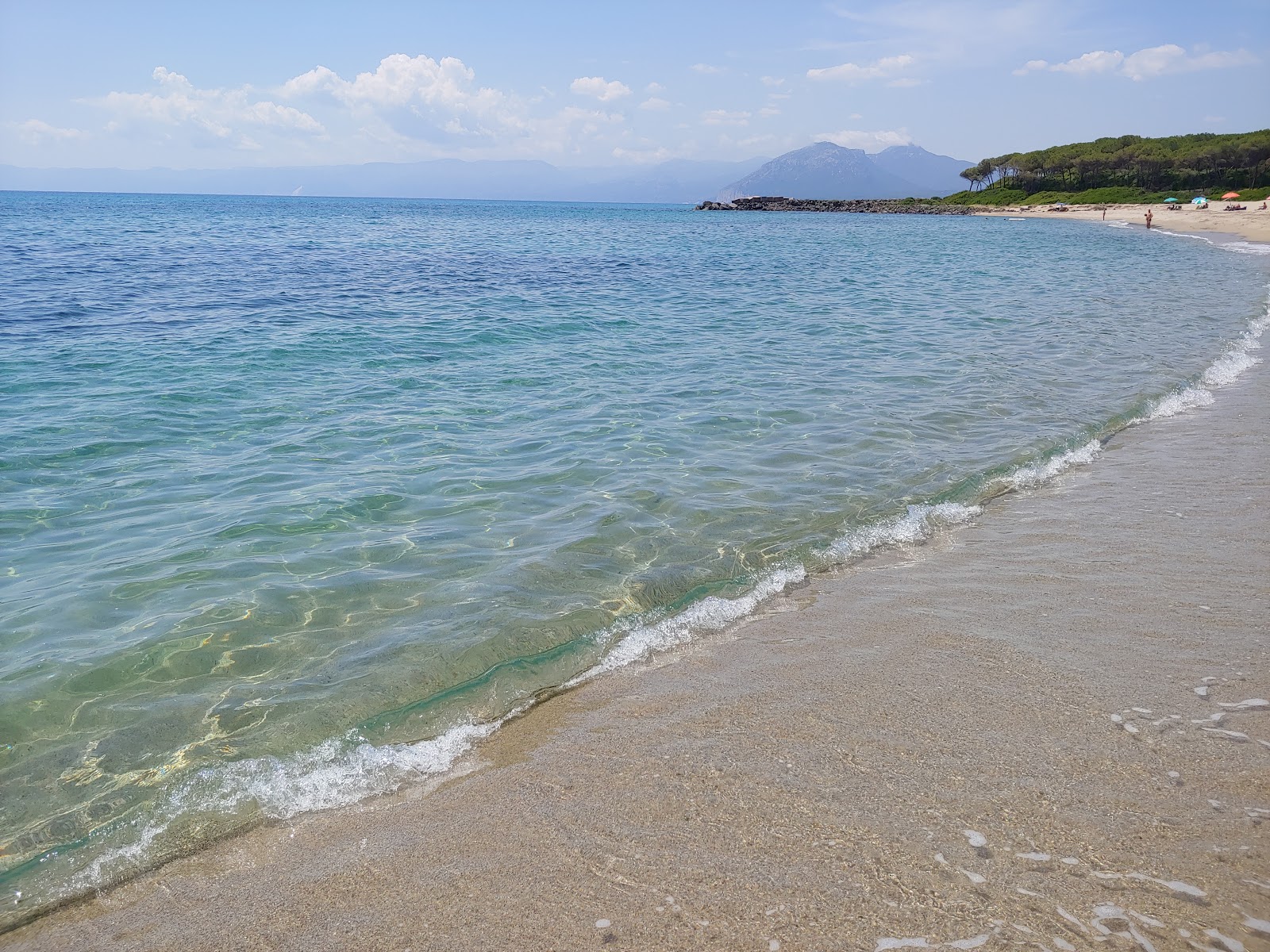 Spiaggia di Foghe Pizzinna'in fotoğrafı biraz temiz temizlik seviyesi ile
