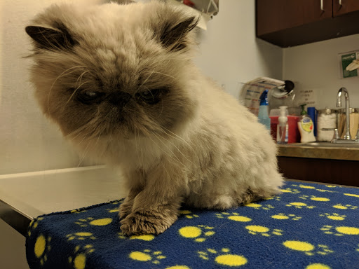 1410 Dunwoody Village Pkwy, Atlanta, GA 30338, USA