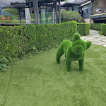 Photo n°13 de l'avis de igor.u fait le 03/07/2023 à 18:35 sur le  Grand Hotel Dino à Baveno