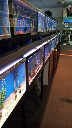 Pet Supply Store «Wet Spot Tropical Fish», reviews and photos, 4310 NE Hancock St, Portland, OR 97213, USA