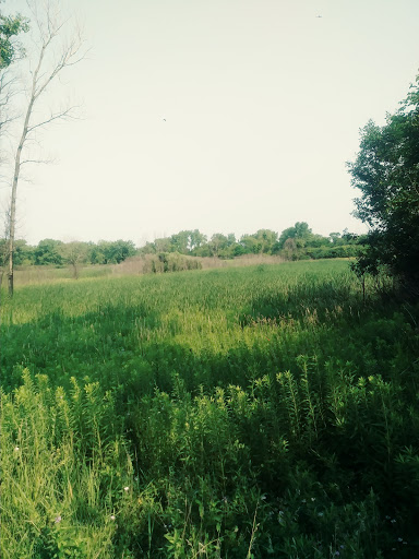 Nature Preserve «Rock Run Preserve - Paul V. Nichols Access», reviews and photos, Essington Rd, Joliet, IL 60435, USA