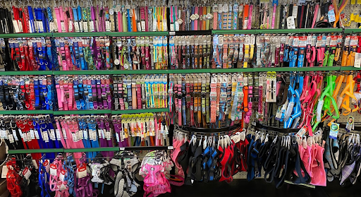 Pet Store «Choice Pet Market», reviews and photos, 15681 N Hayden Rd #114, Scottsdale, AZ 85260, USA