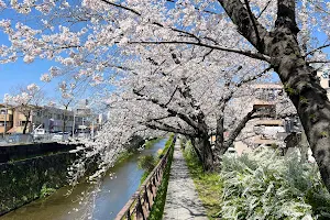 天神川 桜並木 image