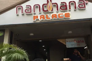 Nandhana Palace - Andhra Style Restaurant - Kammanahalli image