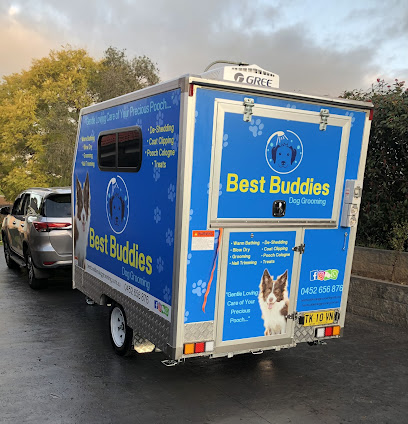 Best Buddies Mobile Dog Wash And Grooming
