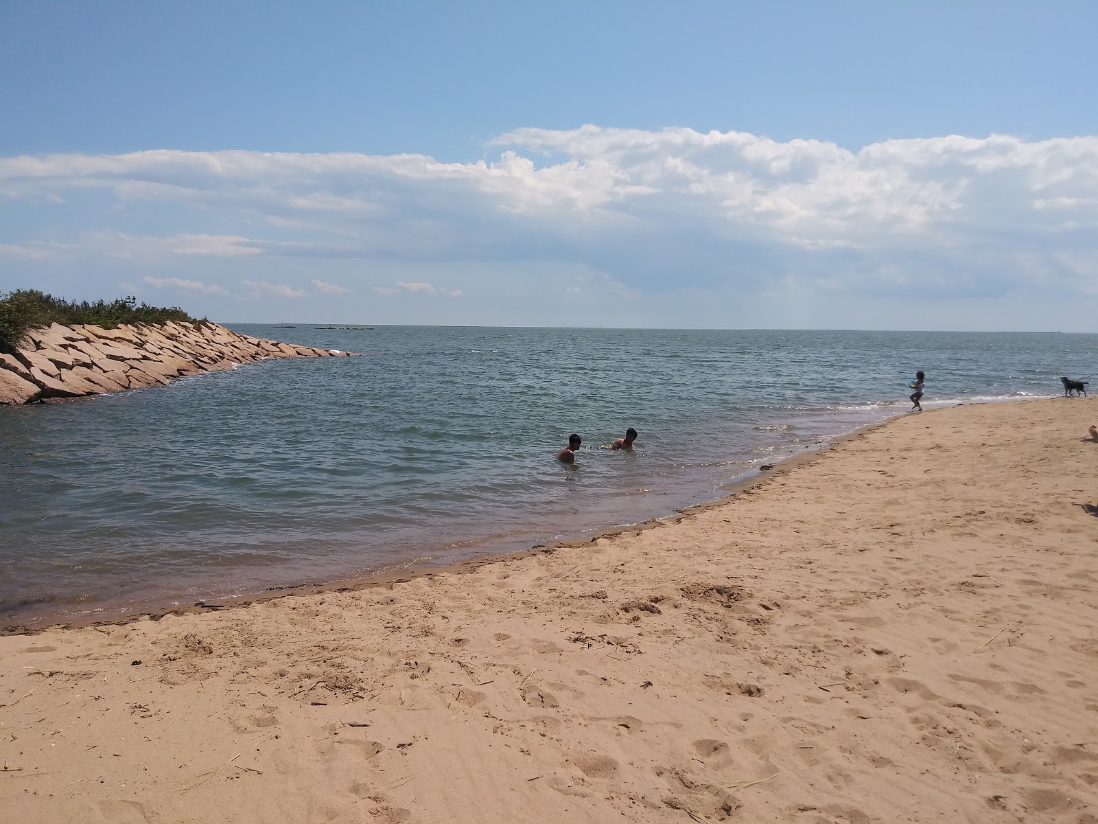 Foto af Seabluff Beach og bosættelsen