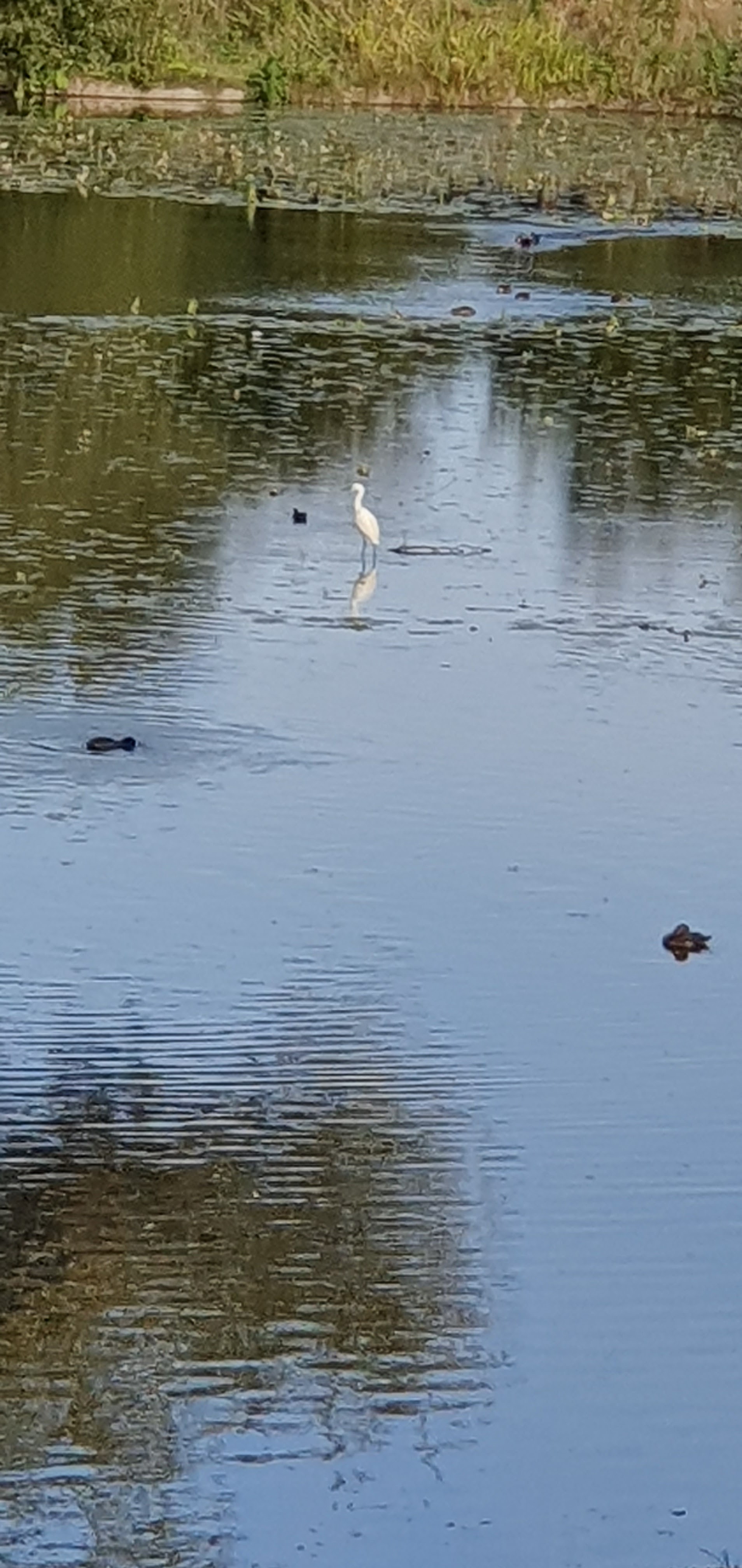 Photo n° 11 de l'avis de Alix-Maëlys.. fait le 04/10/2019 à 07:04