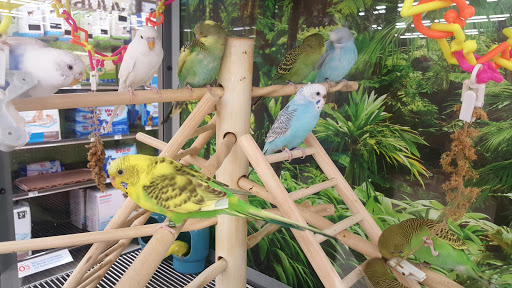 Pet Supply Store «Petco Animal Supplies», reviews and photos, 1824 E Katella Ave, Orange, CA 92867, USA