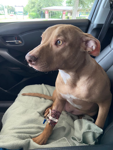 2090 US-1, St Augustine, FL 32086, USA