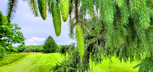 Golf Club «Old Hickory Golf Club», reviews and photos, W7596 WI-33, Beaver Dam, WI 53916, USA