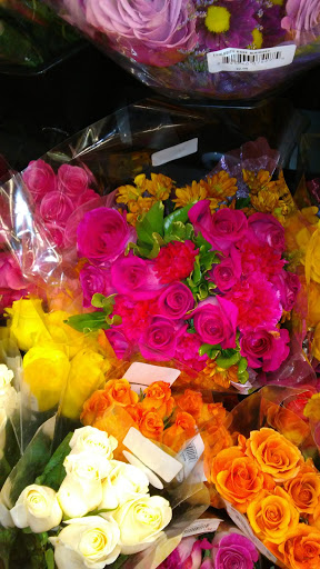 Shopping Mall «Sunrise Plaza Shopping Center», reviews and photos, 656 Wellwood Ave, Lindenhurst, NY 11757, USA