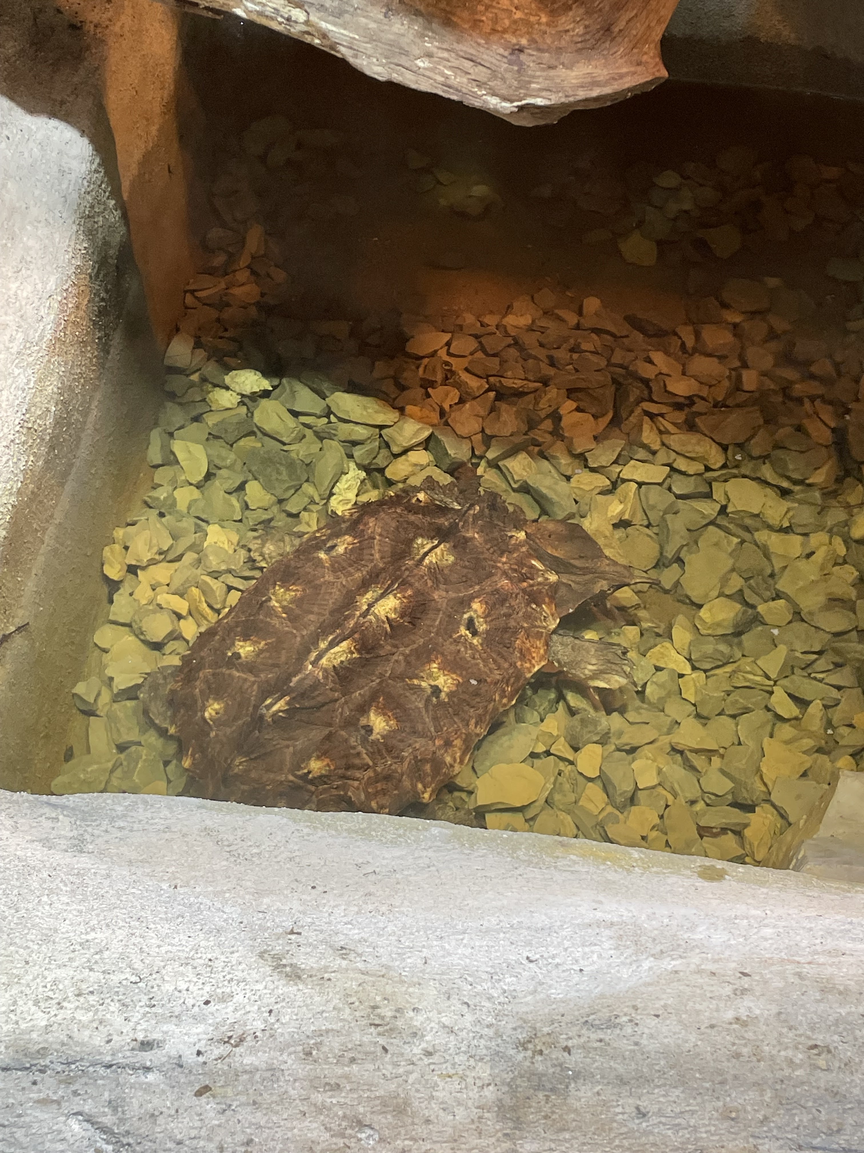 Photo n° 3 de l'avis de Alibert.� fait le 02/03/2024 à 12:25