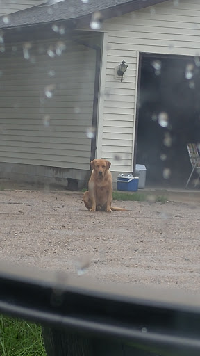 Photo of Teekay Plumbing