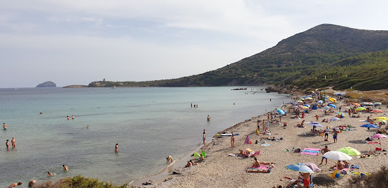 Coaquaddus Strand