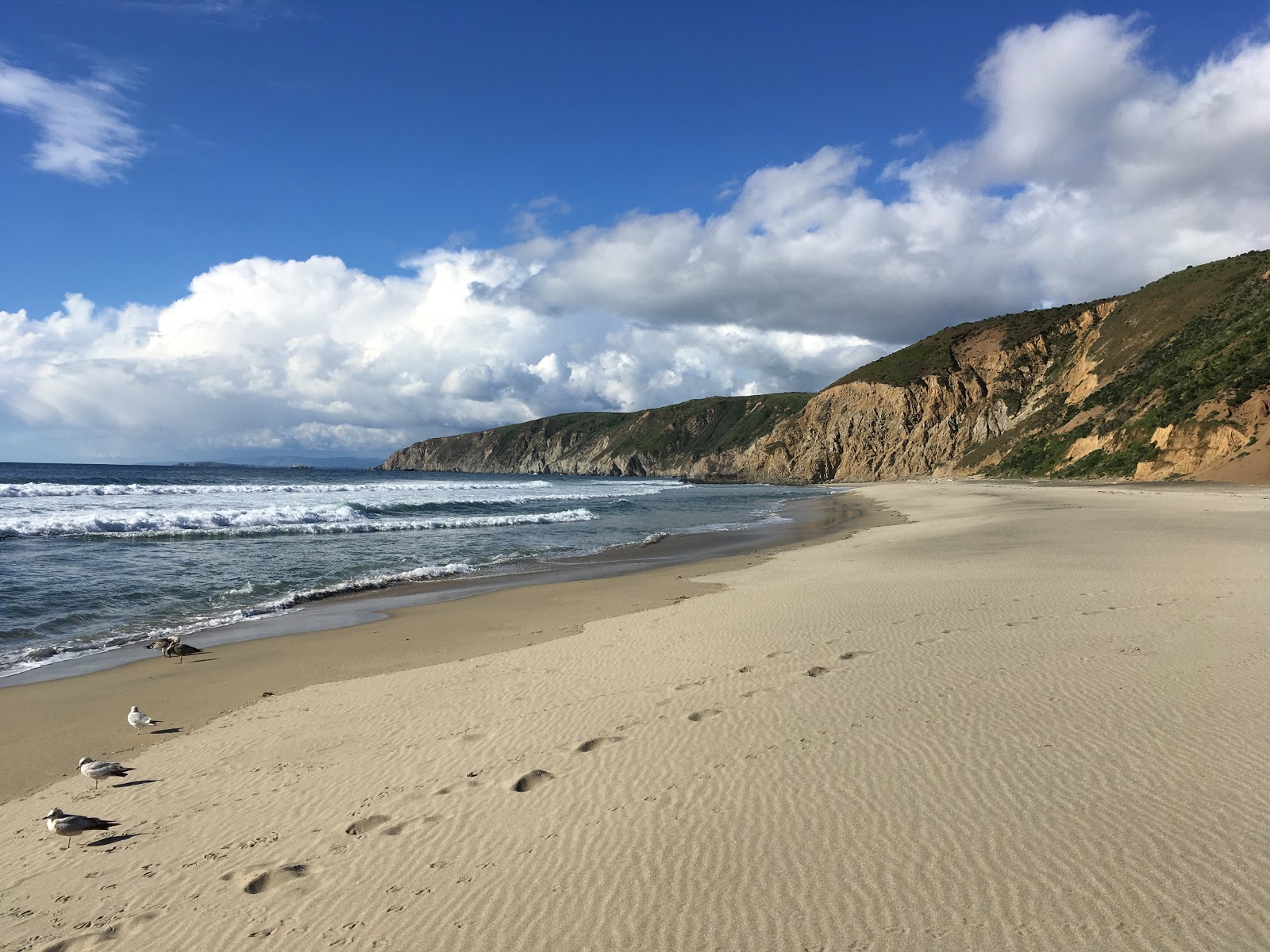 Foto de McClures Beach com areia brilhante superfície