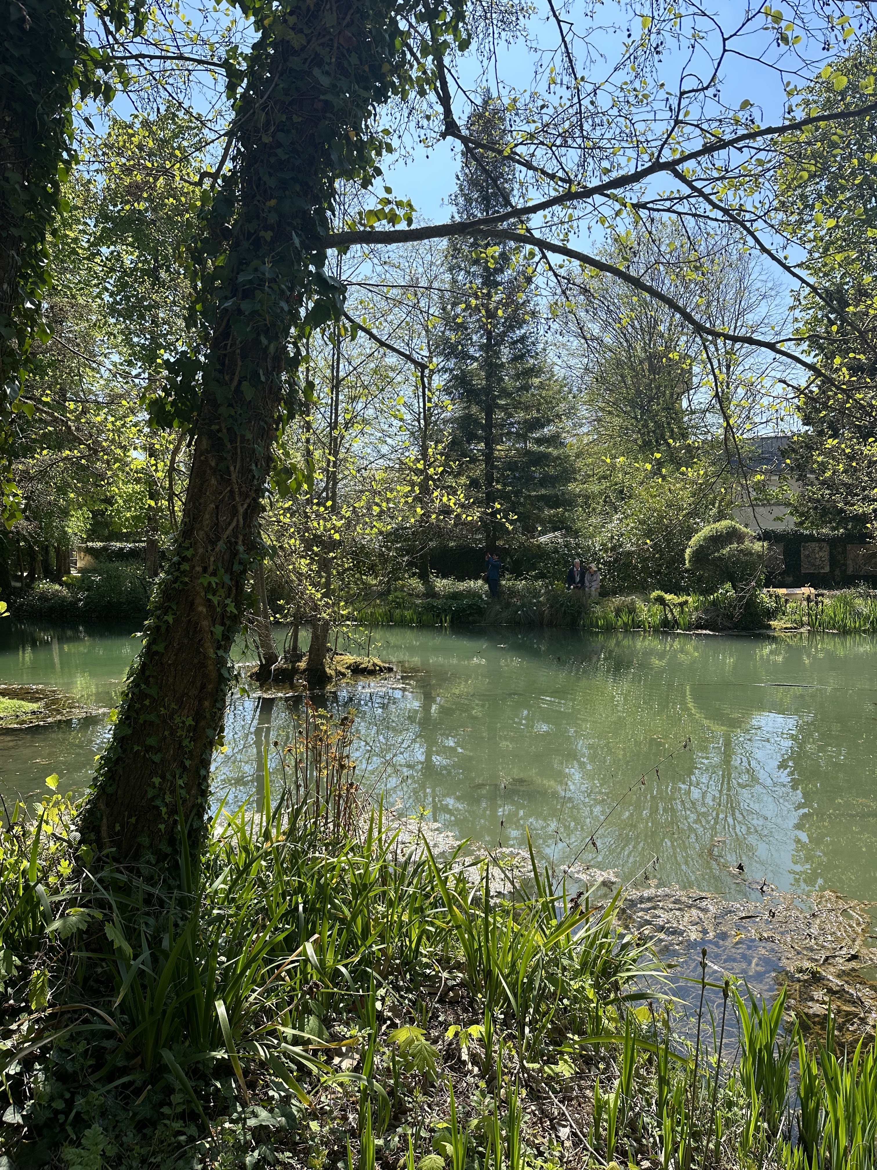 Photo n° 8 de l'avis de Bérangère. fait le 21/04/2023 à 10:27