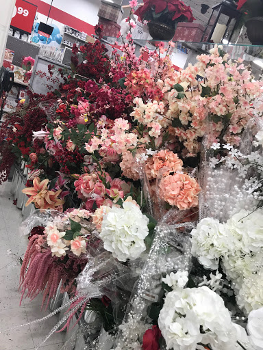 Craft Store «Michaels», reviews and photos, 1740 Walden Ave Ste 200, Cheektowaga, NY 14225, USA