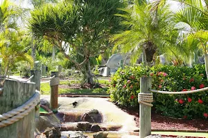 Coral Cay Adventure Golf image
